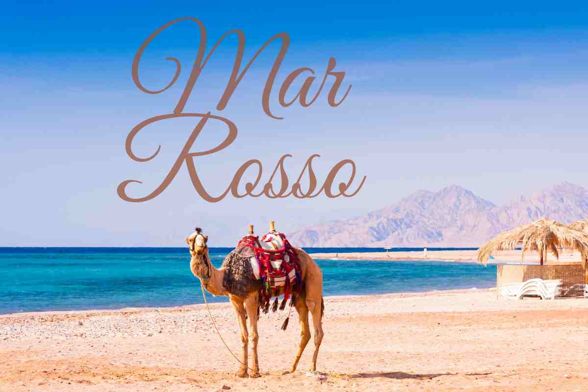 mar rosso